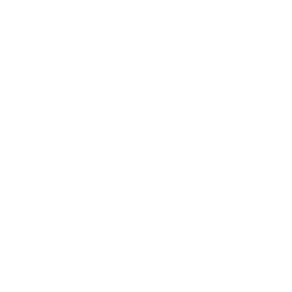 VIP Services