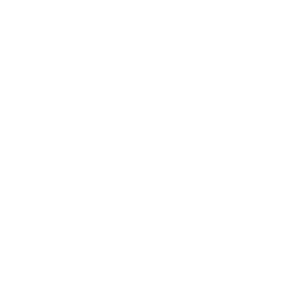 Brand Identity