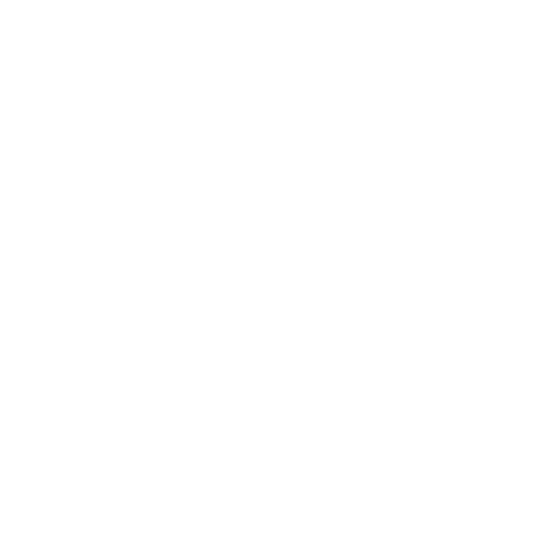 Drone <br> Light Show